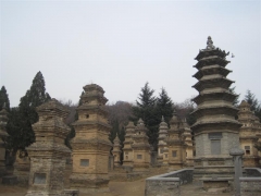 Shaolintemplet, Pagodaskogen