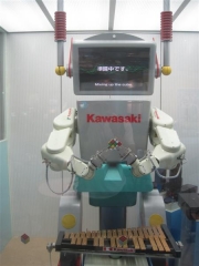 Kawasaki industrirobot